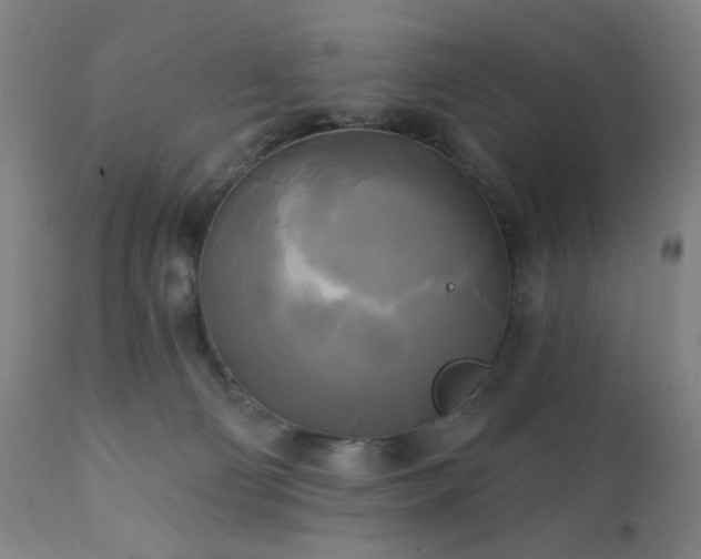 X0000111220130200907021344