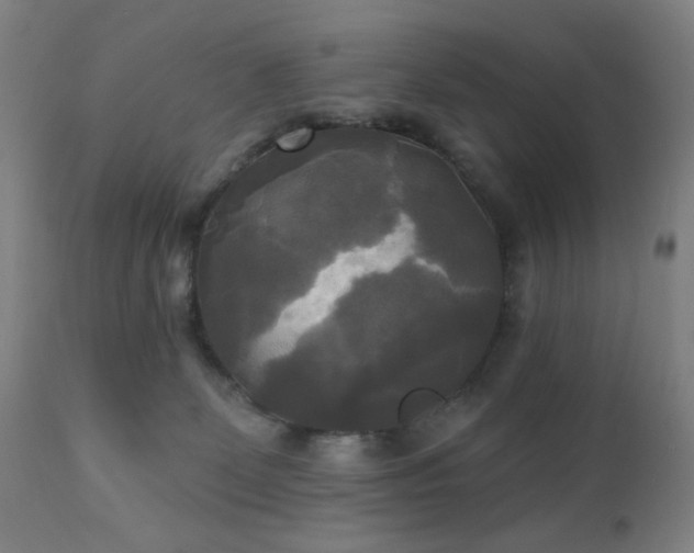 X0000111220131200907021344