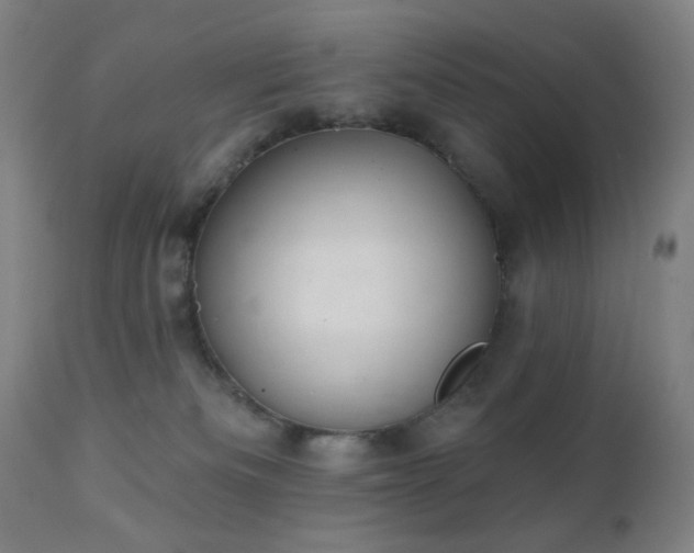 X0000111220133200907021344