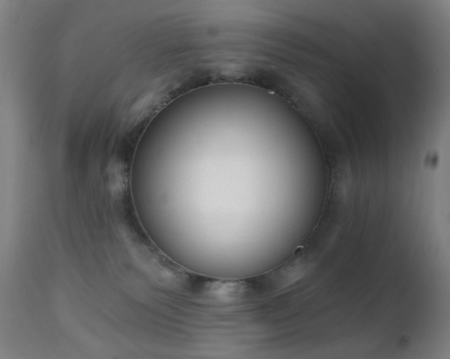 X0000111220135200907021344