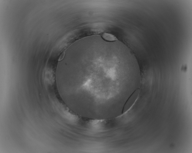 X0000111220136200907021344