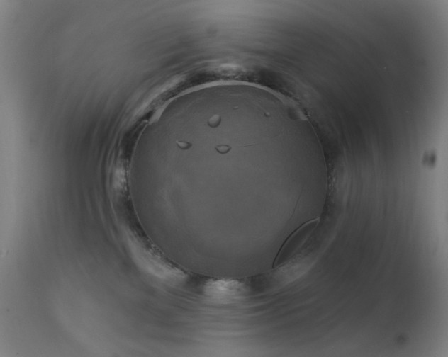 X0000111220137200907021344