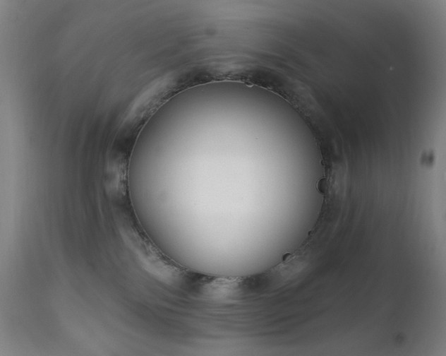 X0000111220138200907021344