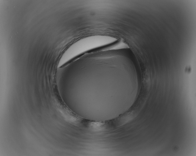 X0000111220139200907021344