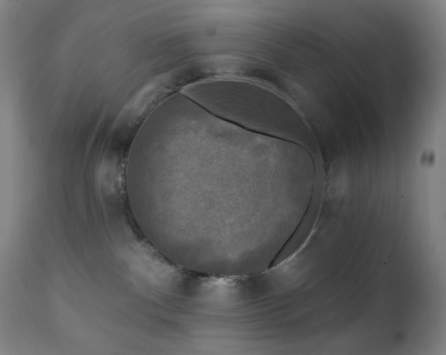 X0000111220140200907021344