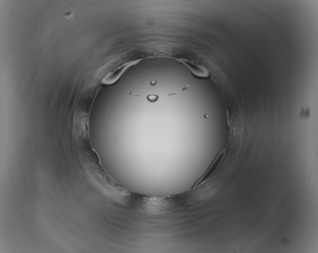 X0000111220141200907021344