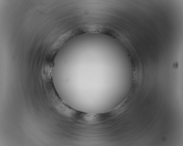 X0000111220142200907021344