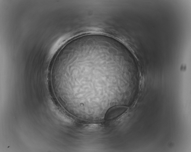 X0000111220151200907021343