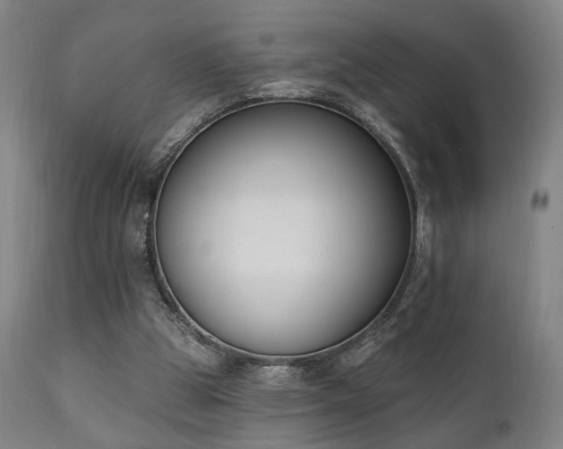 X0000111220153200907021344