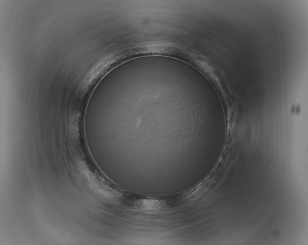 X0000111220154200907021344