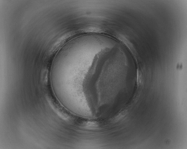 X0000111220157200907021344