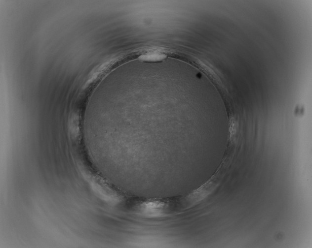 X0000111220158200907021344