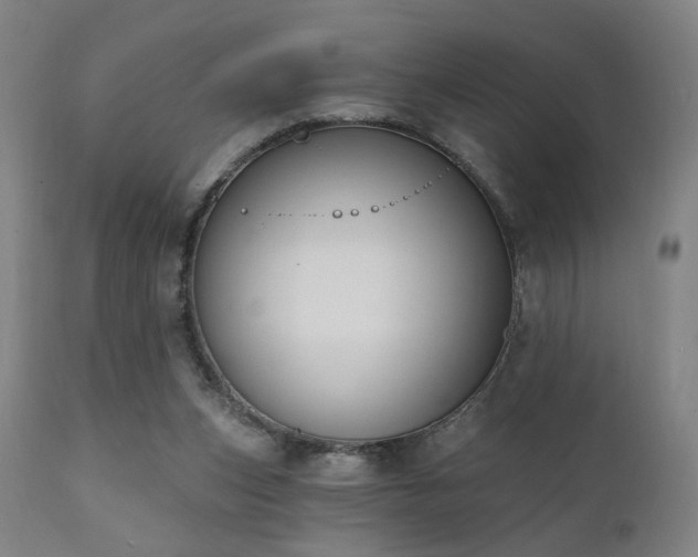 X0000111220159200907021344