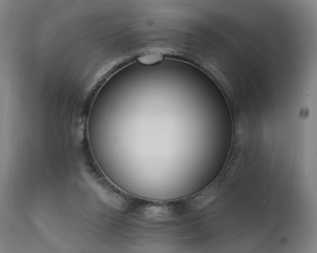 X0000111220160200907021344