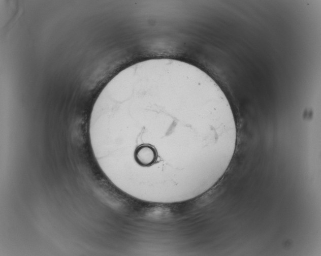 X0000111220162200907021344