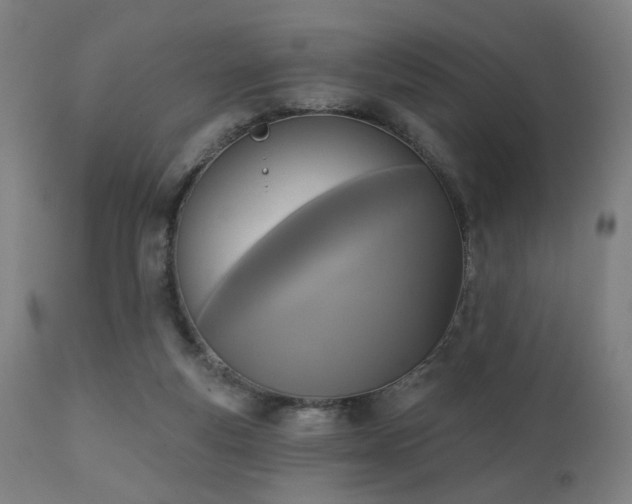 X0000111220163200907021344
