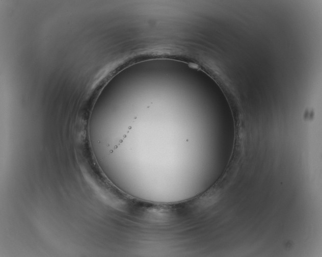 X0000111220164200907021344