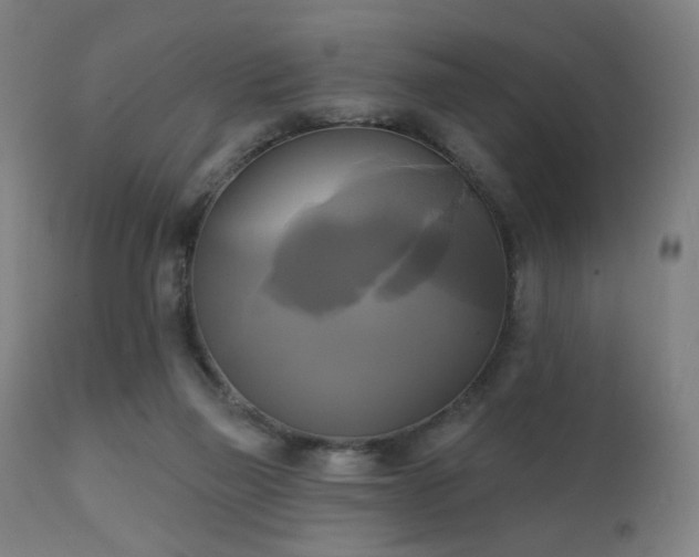 X0000111220165200907021344