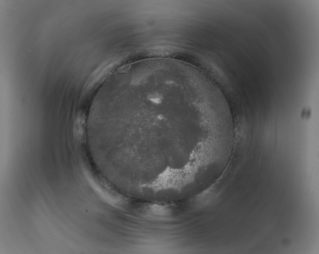 X0000111220166200907021344
