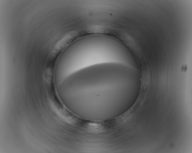 X0000111220167200907021344