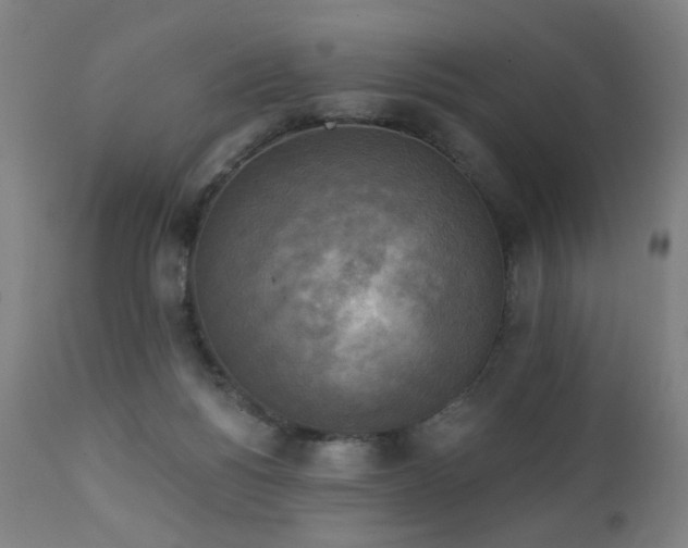 X0000111220168200907021344