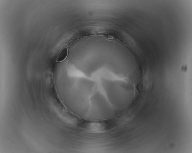 X0000111220169200907021344