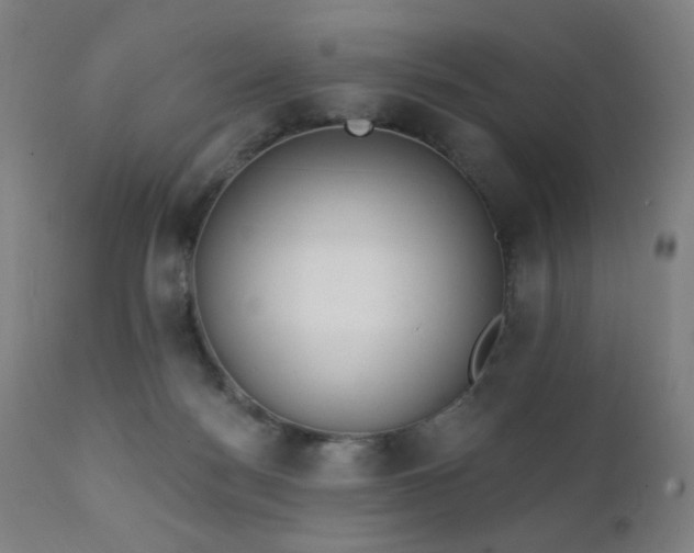 X0000111220172200907021344