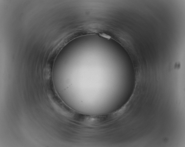 X0000111220174200907021344