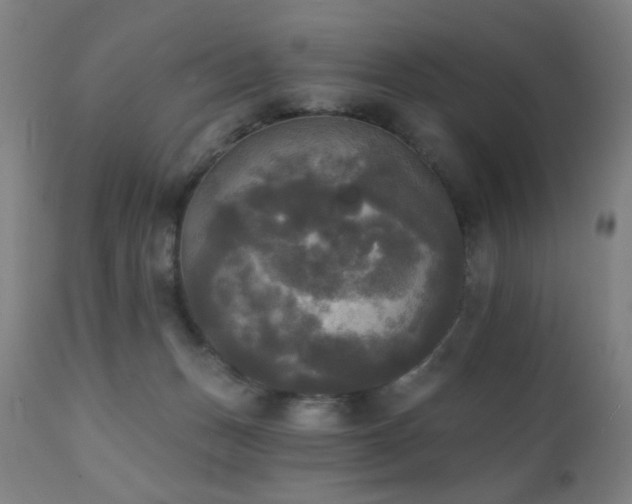 X0000111220175200907021344