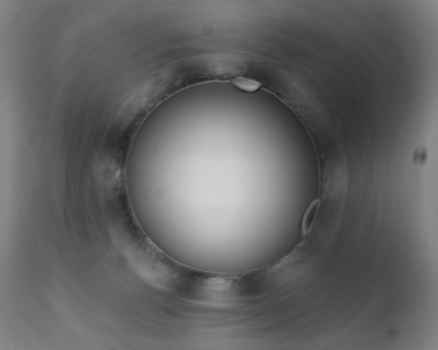 X0000111220176200907021344