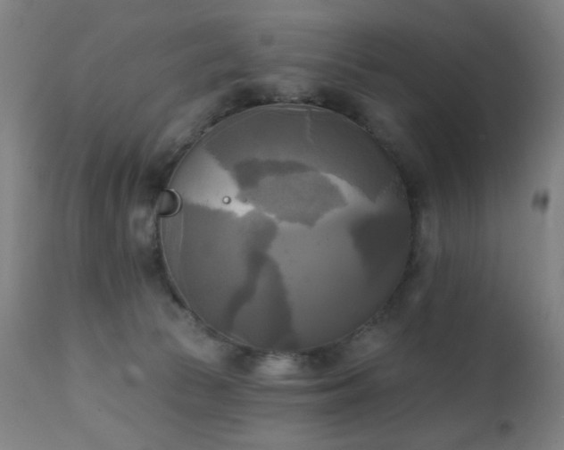 X0000111220177200907021344