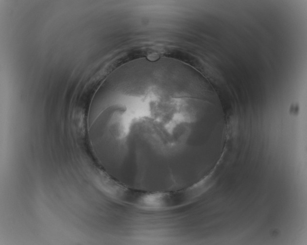 X0000111220178200907021344