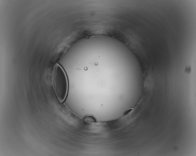 X0000111220179200907021344