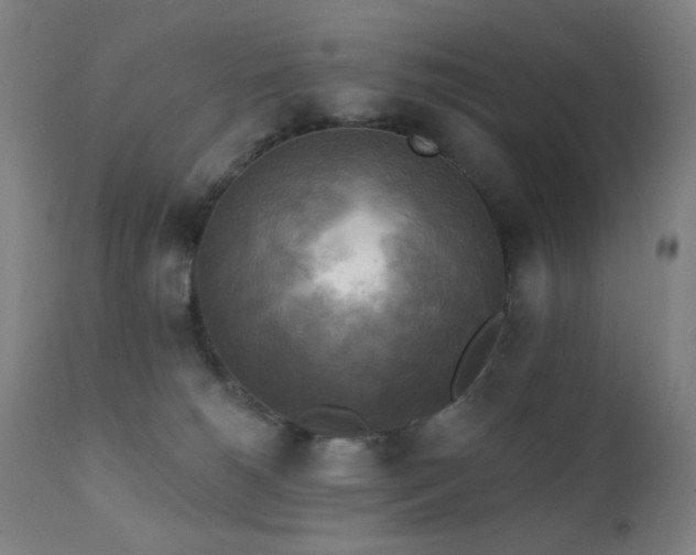X0000111220180200907021344