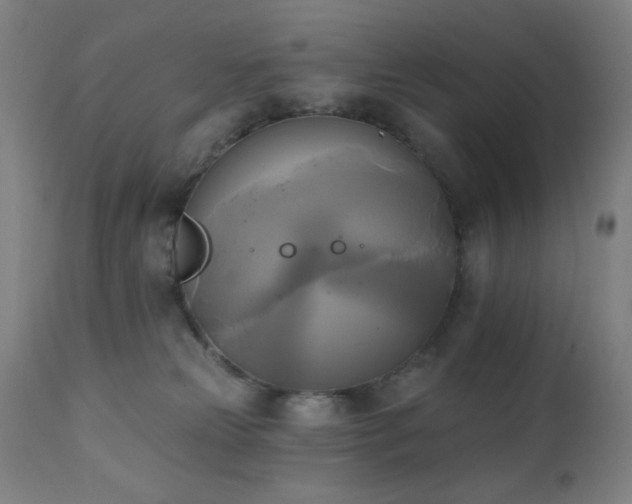 X0000111220181200907021344