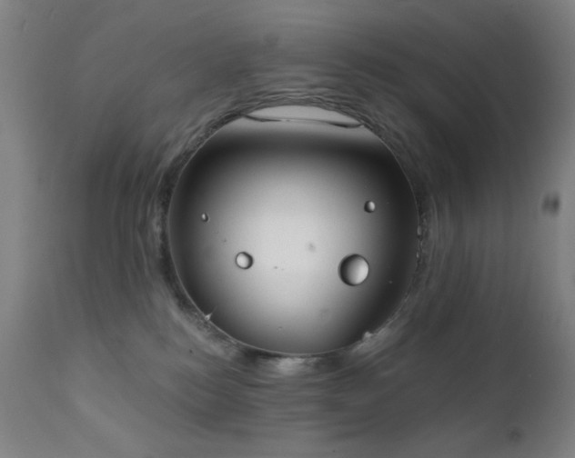 X0000111220184200907021344