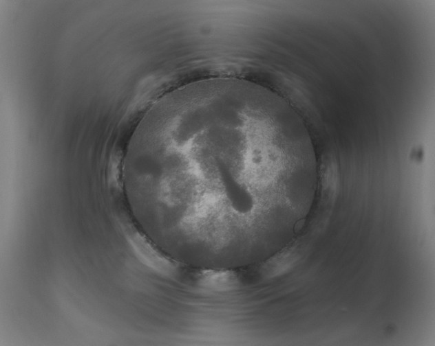 X0000111220185200907021344