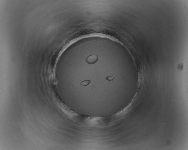 X0000111220186200907021344