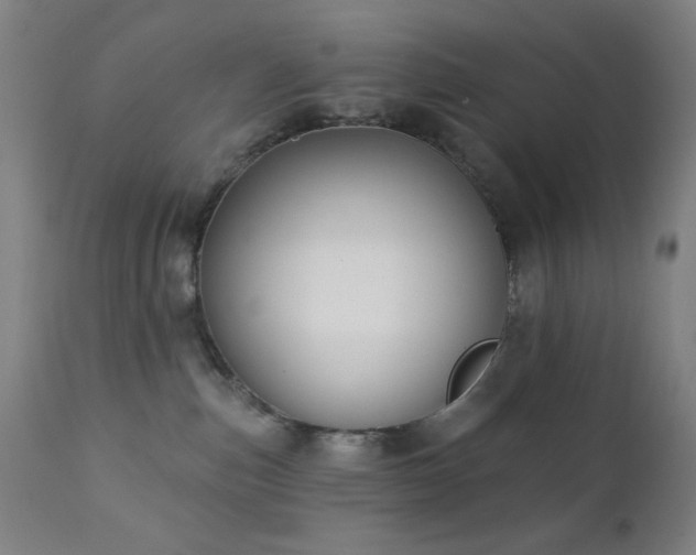 X0000111220187200907021344