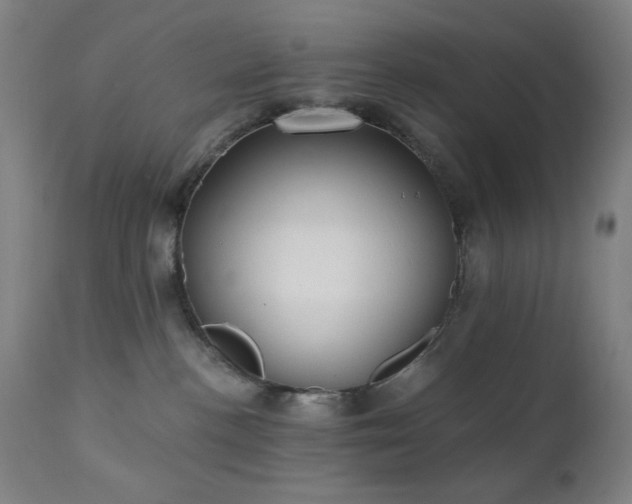 X0000111220188200907021344