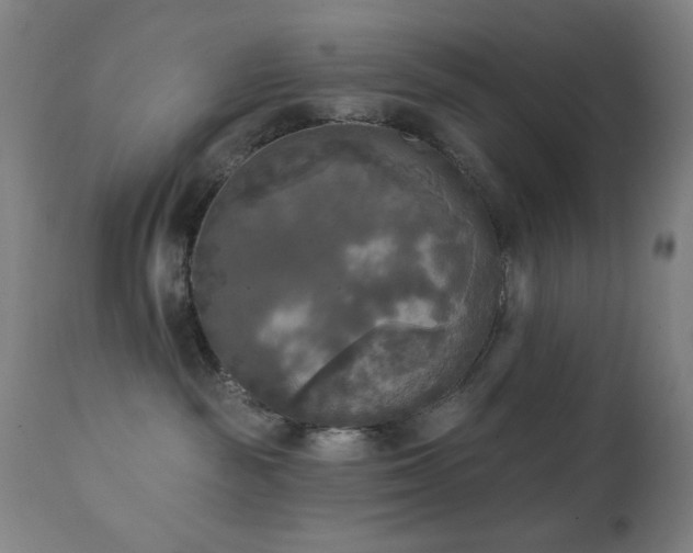 X0000111220189200907021344