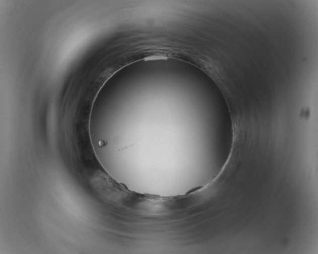 X0000111220190200907021344
