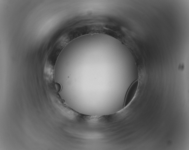 X0000111220191200907021344
