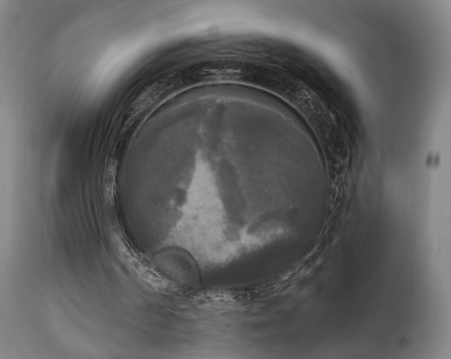 X0000111220194200907021343