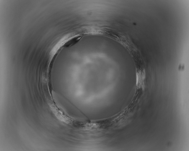 X0000111220195200907021343