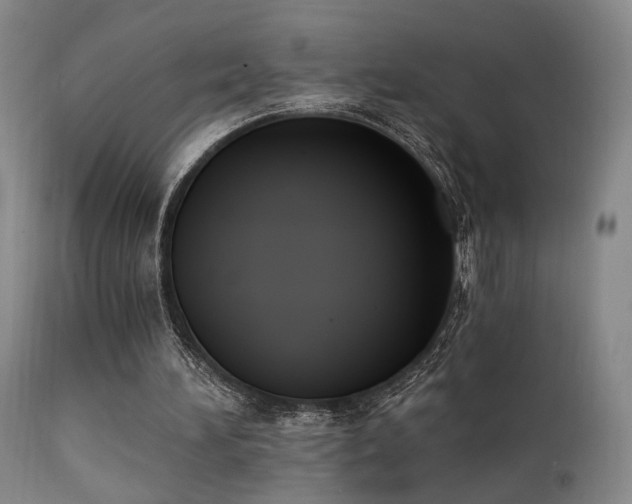 X0000111220196200907021343