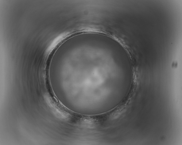 X0000111220199200907021343