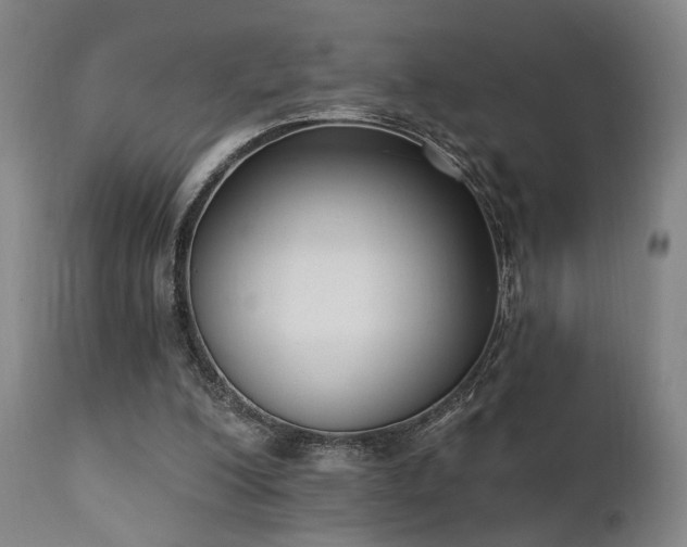X0000111220200200907021343