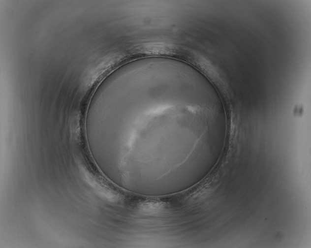 X0000111220202200907021343