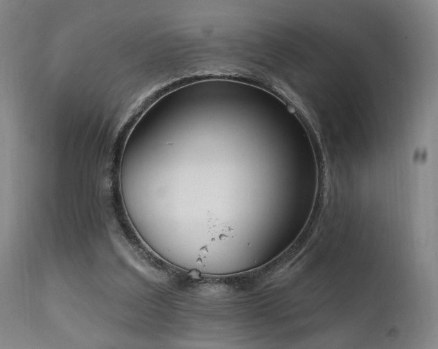 X0000111220203200907021343
